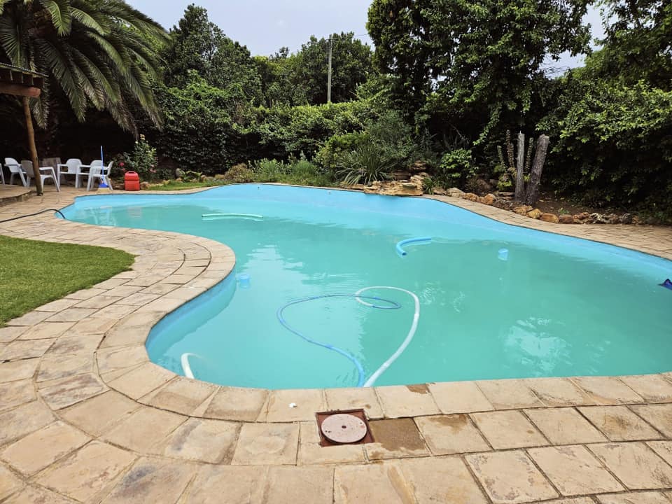 Freeform pool in lush garden setting